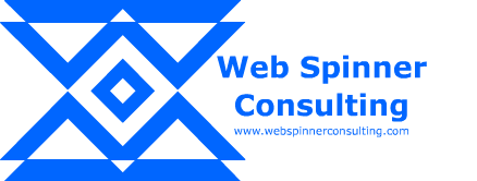  Web Spinner Domain Registration and Management